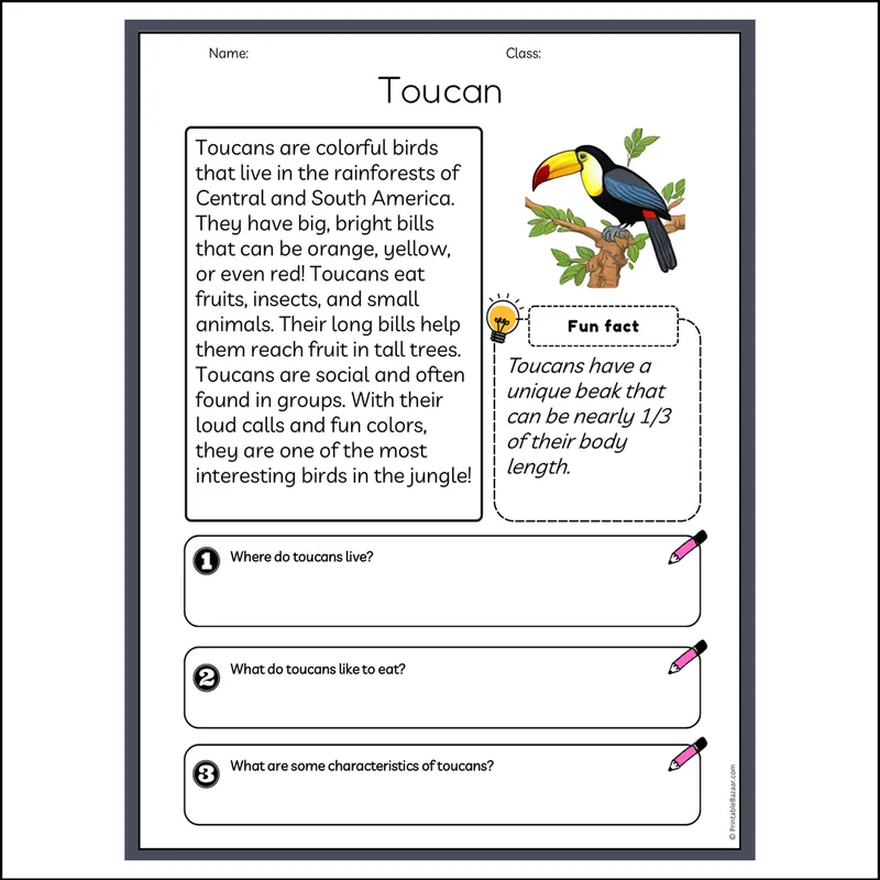 Toucan | Reading Passage Comprehension Questions Writing Facts ...